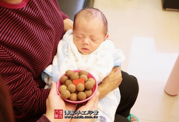 剃胎毛、滿月剃頭、嬰兒剃頭、嬰兒理髮、嬰兒剃髮、嬰兒剃胎毛、嬰兒滿月剃頭、寶寶剃頭、剃胎毛儀式、剃胎毛吉祥話、滿月剃頭儀式、滿月剃頭吉祥話、寶寶剃胎毛、寶寶滿月剃頭理髮、 新北三重區剃胎毛、新北三重區滿月剃頭、 新北三重區嬰兒剃頭剃胎毛、新北三重區嬰兒理髮、新北三重區嬰兒剃髮、謝寶寶(新北三重區到府嬰兒寶寶滿月剃頭理髮、免費到府嬰兒剃胎毛儀式吉祥話)。到府剃頭剃胎毛主持、專業拍照、DVD光碟、證書。★購買「臍帶章、肚臍章、胎毛筆刷印章」贈送：剃頭、收涎、抓周，三選一。2016.01.10 照片7